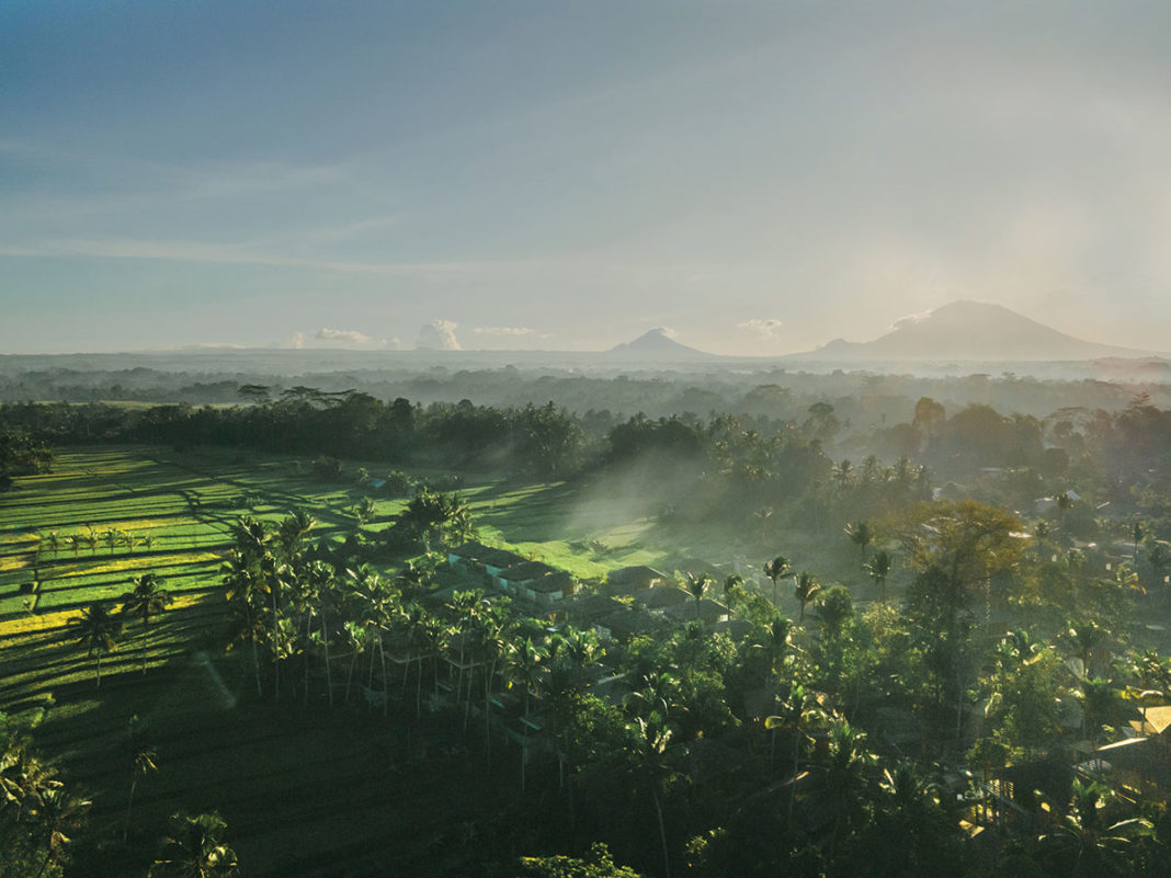 kappa senses ubud photos