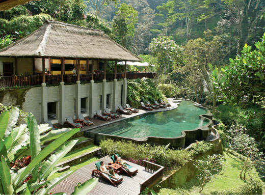 22+ Maya Ubud Resort And Spa Background