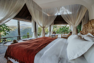 buahan luxuriate banyan