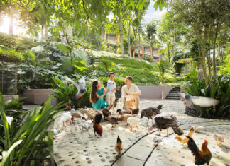Winner of Exquisite Awards 2024 – Best Luxury Family Hotel: Padma Resort Ubud