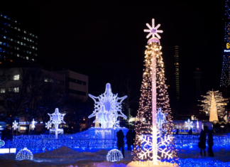 Sapporo White Illumination Shines Bright This Winter