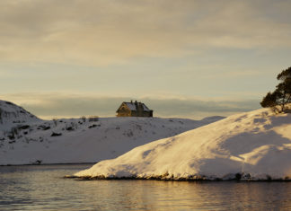 Escape to LILLØY LINDENBERG: Norway’s Untamed Island Hideaway