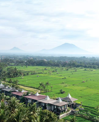 A Sanctuary of Wellness in Ubud