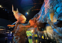 Resorts World Sentosa Makes Waves with Hangyodon Marine Discovery