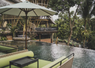 One Wild Journey at The Jungle Club Ubud The Jungle Club Ubud