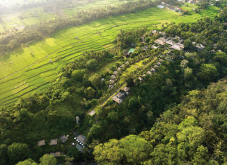 Winner of Exquisite Awards 2025 – Best Luxury Resort: Maya Ubud Resort & Spa