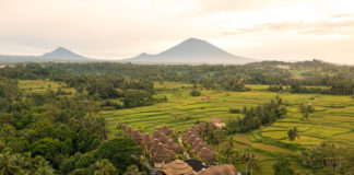 The Path to Balance at Equipoise Resort