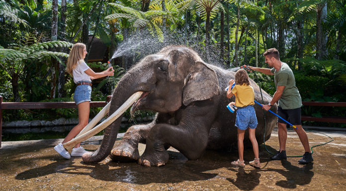 Mason Elephant Park & Lodge