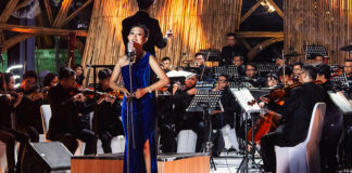 Echoes of Passion and Classical Pursuit