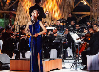 Echoes of Passion and Classical Pursuit