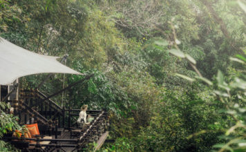 Luxurious Jungle Living