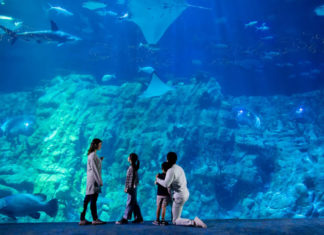 Fabulous Family Vacation: Hong Kong