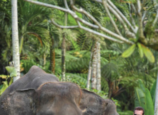 Yanie and Nigel Mason